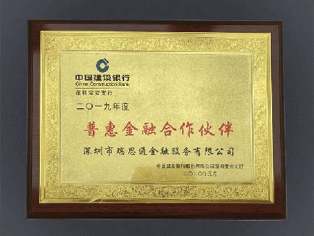 2019年建行普惠金融合作伙伴