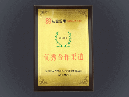 2018年友金普惠优秀合作渠道